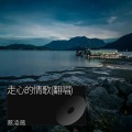 蔡凌薇 - 走心的情歌