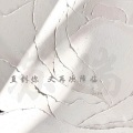 DJ苏瑞 - 如果再深情一点 (氛围版)