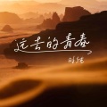 远去的青春 (DJ伯格版)