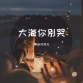 大海你别哭