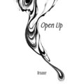 Dreamer、Tyler henrie - Open Up (Explicit)