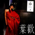 叶欢 - 因为爱你 (黑胶版)