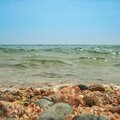 Khaled Roshdy - The Red Sea