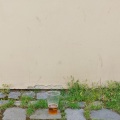 Star Club West - Pansy