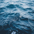 Sonidos esenciales de la naturaleza、Sonidos De Agua、Relajacion Total - Fuga Infinita Y Fuga Cálida