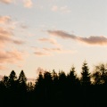 Marsbeing - YTT