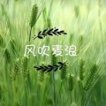 风吹麦浪 - 把你藏在歌里面