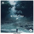 Without You (Remix)