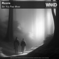 Set You Free Mixes