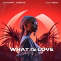 What Is Love (feat. Camishe)(Ojax Remix)