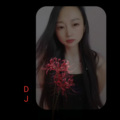 李莲儿 - 爱的老板娘DJ