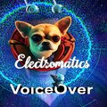 VoiceOver、JOUAS SEBASTIEN - Electromatics