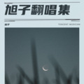 旭子 - 他不爱我