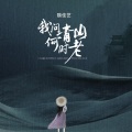 魏佳艺 - 我问青山何时老