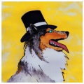 Jodarok、Kriso - Collie