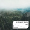 王鹤宇 - 起伏压声