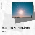 王鹤宇 - 风雪压我两三年