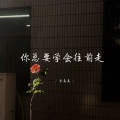 余真真 - 你总要学会往前走