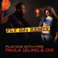 Playing with Fire (FLY DJ Remix)