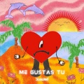 Scammacist、Manu Chao - Me Gustas Tu (Slowed) (Slowed)