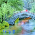 丰盈 - 江南梦