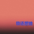我还想她 (究竟是谁放掉这段感情)