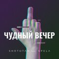 Чудный вечер (feat. Spela) [Explicit]