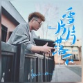 杨小壮 - 雪片片落下