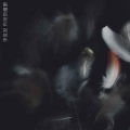 李发发 - 有形的翅膀