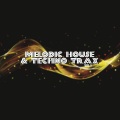 Melodic House & Techno Trax, Vol. 1 (Explicit)