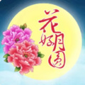 花好月圆夜