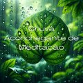 Chuva Aconchegante para Meditação (Música Relaxante e Sons para Yoga, Spa e Sono)