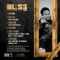 Samking Lobaloba、Killer Boy、Emmrex、T Frosh、Young Wizzy、DC Hypa、HRX Mix - Party Fever