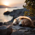 Sonido relajante de la naturaleza、Sonidos tranquilos del mar、El relajador de perros - Mar De Melodías Tranquilas Para Perros