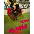 The Realest (Explicit)
