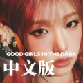 Good Girls in the dark(Chinese version)