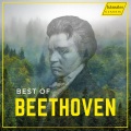 Thomas Fey、Heidelberg Symphony Orchestra - I. Erwachen heiterer Empfindungen bei der Ankunft auf dem Lande. Allegro ma non troppo