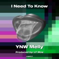 I Need To Know (Explicit)