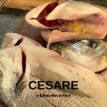 Cesare - Rüya Gemisi