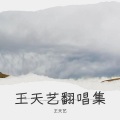 王天艺 - 我的唇吻不到我爱的人