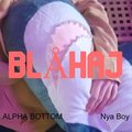 Blahaj