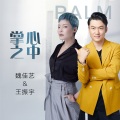 魏佳艺、王振宇 - 掌心之中