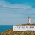 花卷儿你怎么回事儿 - 雾里