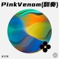 金文锡 - Pink Venom