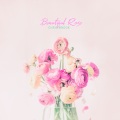 Beautiful Rose