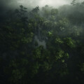 Cats' Rainy Sanctuary: Calming Droplet Tunes