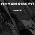 我是不是该安静的走开 (Andy小宝 remix)