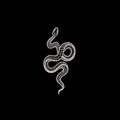 Snake (Explicit)