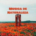 Musica de Naturaleza