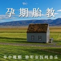 夏小桃 - 胎教 早中晚期